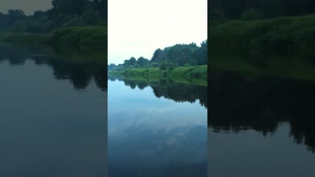 Река Молога, Тверская область, Максатихинский район.