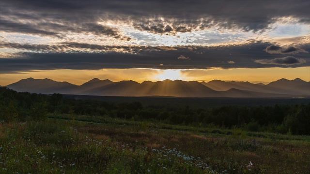 Day 94 - Wohlfahrt etude Op. 45, No. 21 (first part, very slowly) - 100 Days of Violin Practice смотреть онлайн
