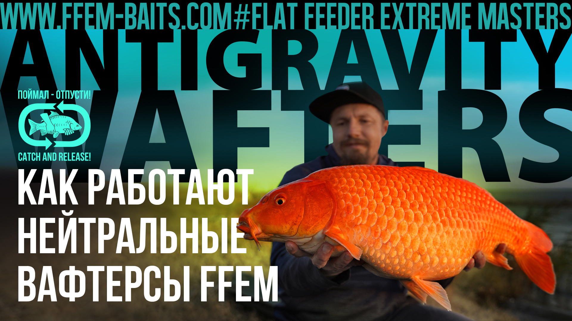 Насадки и крючки на карпа - Как работают нейтральные вафтерсы FFEM Baits