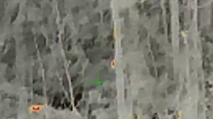 охота Бурятии