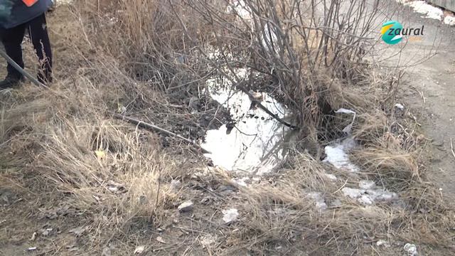 Города и посёлки Зауралья приводят в порядок после зимы смотреть онлайн