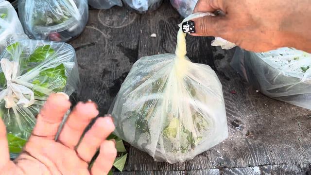 Літнє розмноження гортензії смотреть онлайн