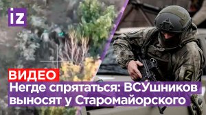 Разгром морпехов ВСУ в деталях: уложили несколько подразделений в Старомайорском / Известия