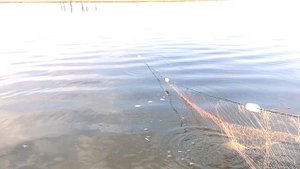 Сеть веревка рама ловля карася