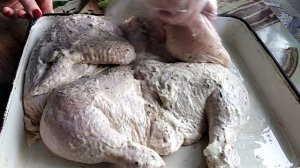 Цыпленок Табака в духовке. Просто, но очень вкусно