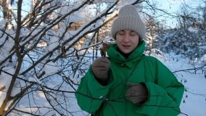 Кто есть кто среди деревьев и кустарников Средней полосы? Определяем зимой.