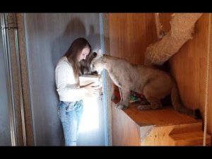 Нам пришла Бандеролька!