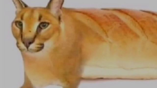 ?БЕСПЛАТНЫЕ КОДЫ ДЛЯ ВИДЕО СТАР//FREE CODES FOR VIDEO STAR//гачи мучи//by @fnaustly? смотреть онлайн