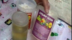 Что делать,когда ботва картофеля жирует