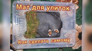 Маты для улиток. Зачем они нужны, как сшить мат самому. Где можно купить мат для улиток