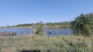 пруд 29.08.22.MP4