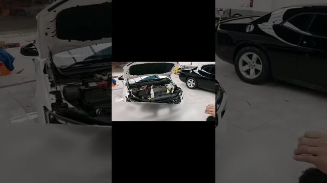 2023 Ford Taurus Titanium for Tint and PPF  Bumper Fender Hood Visor and side mirror