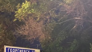 Трасса М4-Дон. Объезд платных участков