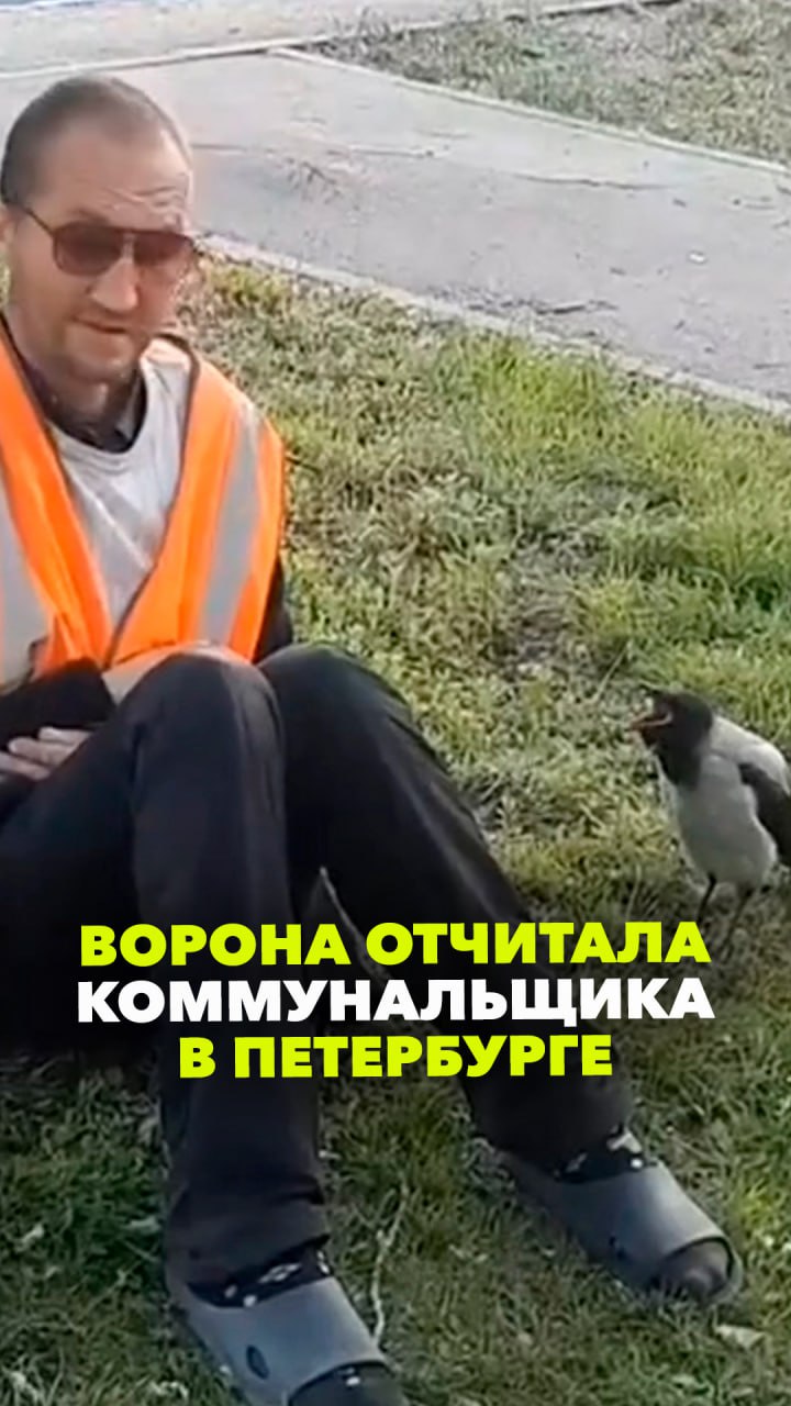 Ворона строго отчитала коммунальщика в Петербурге