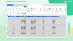 [WPS Academy] 1.7.4 Excel:Quickly adjust the row height and column width