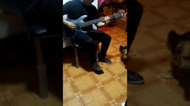 Incursionando con guitarra 7 cuerdas смотреть онлайн