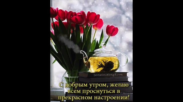 Доброе утро Алена Кравец Я Жду Тебя смотреть онлайн