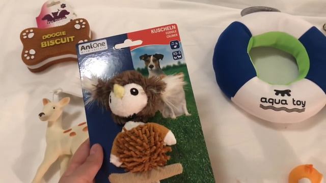 Огромные покупки из зоомагазина в Италии смотреть онлайн