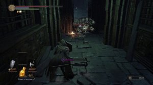 Dark Souls 3 Прохождение #46, Сафари на бегемотов