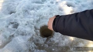 Удачная рыбалка