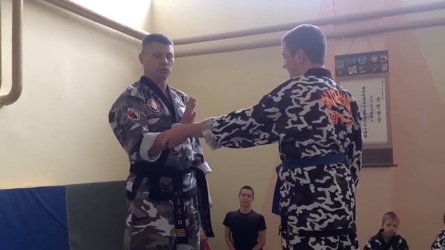 Семинар Дэханмингук Хапкидо г. Краснодар 09.01.2016г (фрагмент) смотреть онлайн