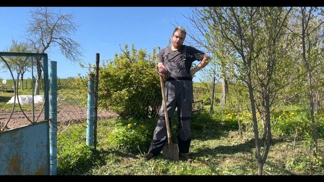 Первый покос травы - скосил 20 соток! Сделал короб для компоста Жизнь в белорусской деревне #ранчо
