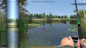 Fisher Online: Чехия, Линь, 5 трофеев за 45 минут