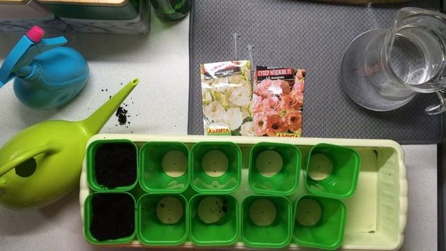 Сажаем эустому. Посев и первые всходы. Дача на ПМЖ. Эпизод 11 смотреть онлайн