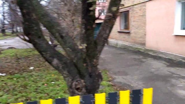 Знаменка. Прогулка.Пождепо.