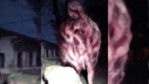 Lil Nugget - Ужасы Тревора Хендерсона | Creepypastas and unnerving images