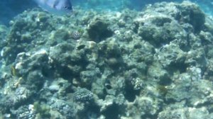Titanic Palace Egipt Hurghada Coral reef
