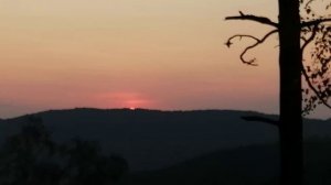 Брусника и грибы 25-28 августа 2024г.