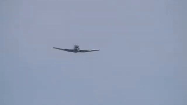 ЯК-18 13.08.2011. смотреть онлайн