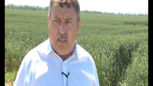 День поля- фирма "Август" ст.Ловлинская Тбилисский район (ТРК"Метроном-3")