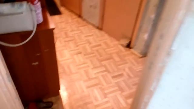 Как избавиться от короеда смотреть онлайн