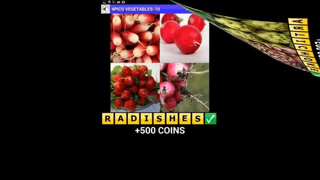 Need for Words: Cheats - 4 PICS 1 WORD GAME - VEGETABLES смотреть онлайн