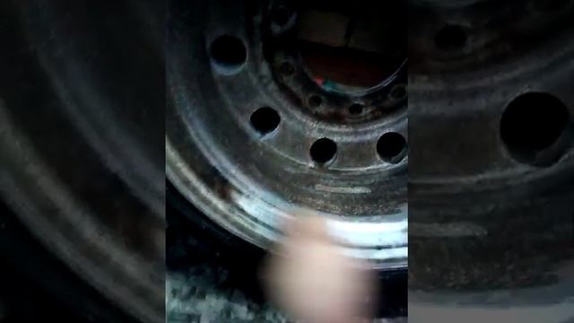Фредлайнер Аргоси