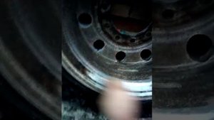 Фредлайнер Аргоси