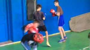 Бокс (детям про их первые шаги) "КАПА".