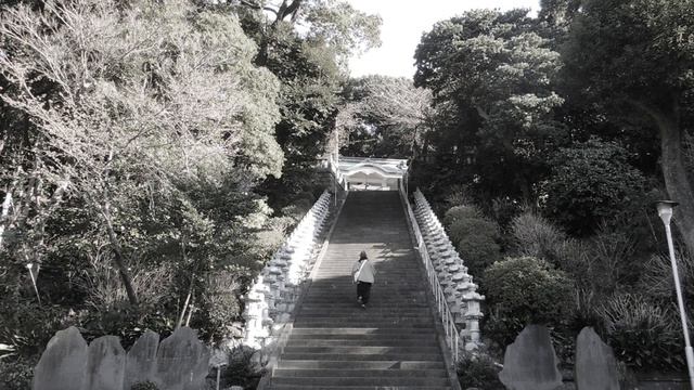 ひとり弾き Vol.38 смотреть онлайн