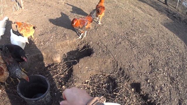 Самый красивый хвост смотреть онлайн