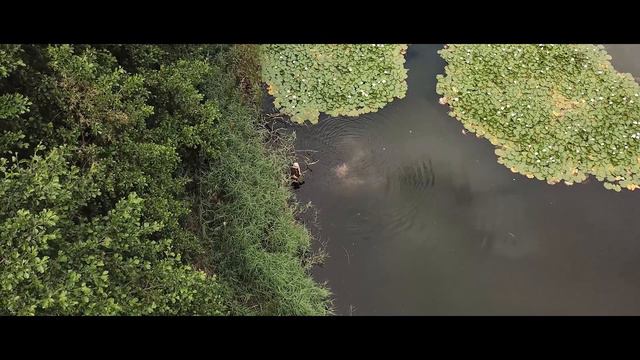 Should I STAY or should I GO? Myles Gibson helps us decide! смотреть онлайн