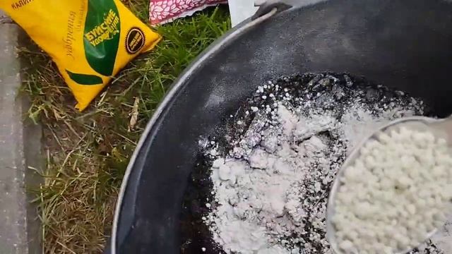 Реанимация гортензий крупнолистных.   Профилактика хлороза.