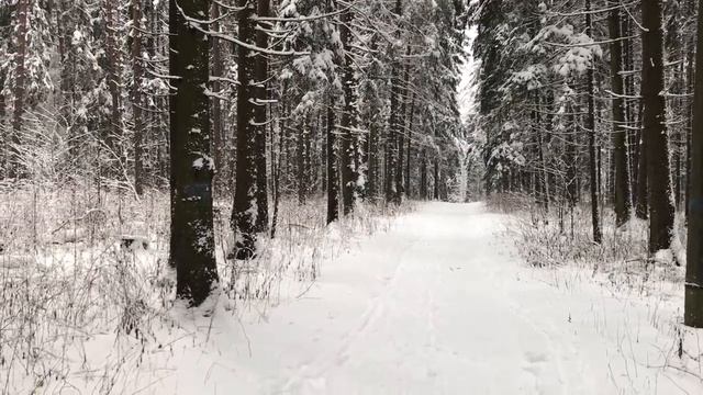 Жена ушла к другу, водили меня за нос 1,5 года.Истории из жизни.Поучительные истории. Аудио рассказ