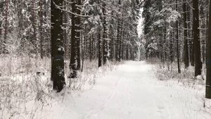 Жена ушла к другу, водили меня за нос 1,5 года.Истории из жизни.Поучительные истории. Аудио рассказ