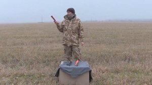 Пинпоинтеры  Видео обзор пинпоинтеров и особенности популярных пинпоинтеров