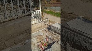 Эксгумация