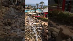 Отель Safir Sharm Waterfalls 5*