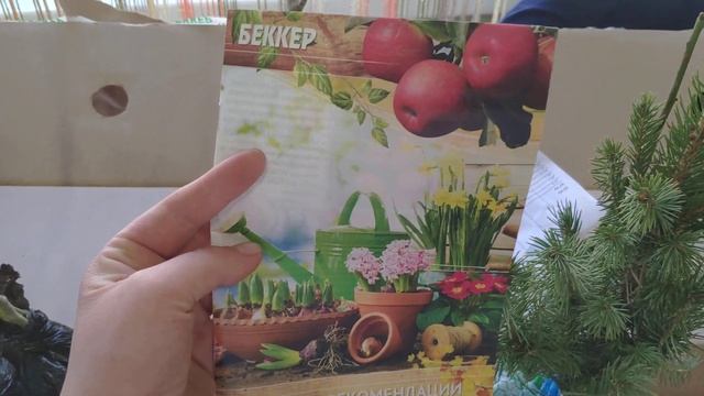 Беккер в Беларуси. Хвойники, розы , малина, алыча-слива Блэк Голд смотреть онлайн