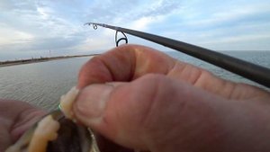 Ловля бычка на Черном море весной 2021 / SEA FISHING / Лазурное